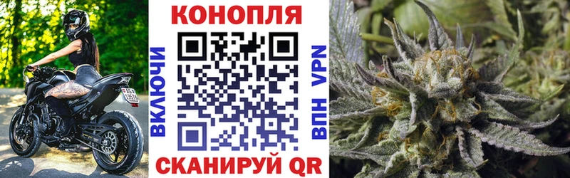 МАРИХУАНА сатива Сусуман